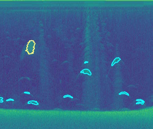 EcoFish fish mapping visualization showing fish counts and depths