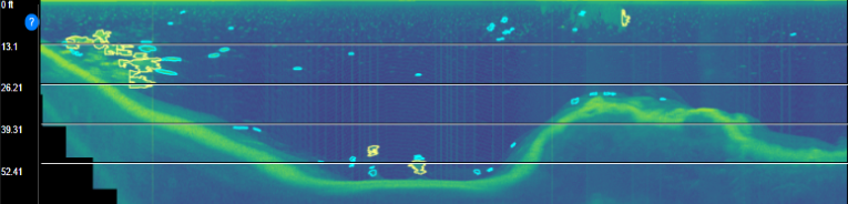 Fish_Abundance_Screenshot.png